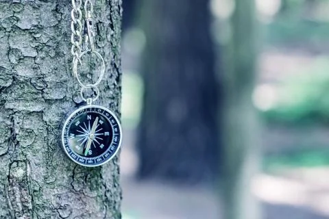 Compass on the background of greenery in the forest Stock Photos