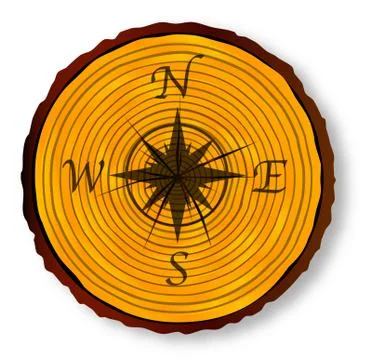 Compass Face On Timber Section Stock Illustration