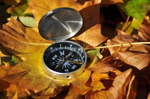 Compass on fallen leaves. Stock Photos