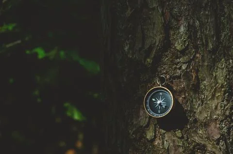 Compass in the forest, against the background of the bark of the tree. 스톡 사진
