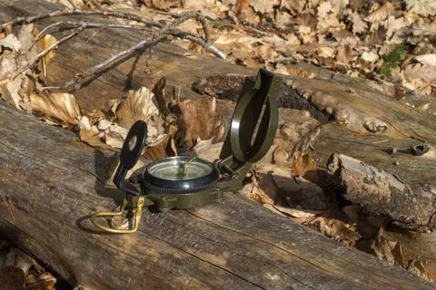 Compass in the forest on a stump in the sunlight Stock Photos