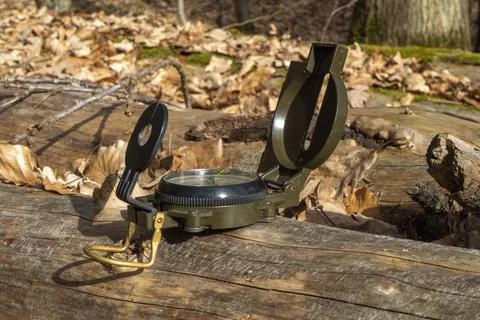 Compass in the forest on a stump in the sunlight Stock Photos