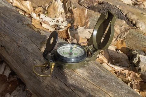 Compass in the forest on a stump in the sunlight Stock Photos