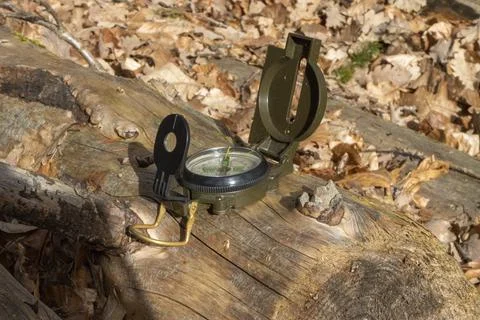 Compass in the forest on a stump in the sunlight Stock Photos