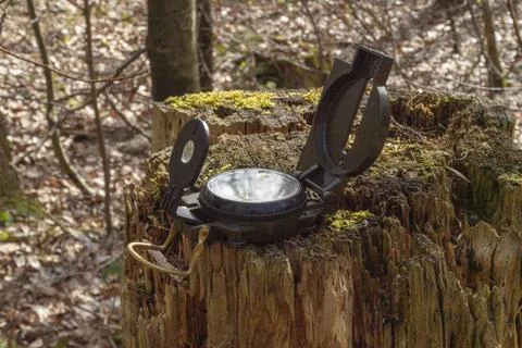 Compass in the forest on a stump in the sunlight Stock Photos