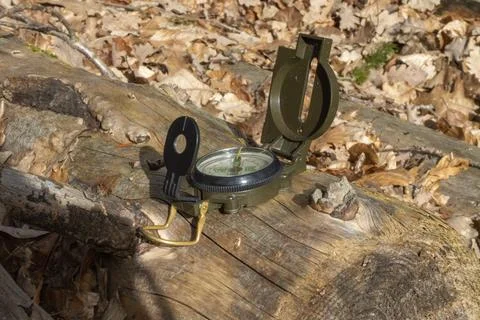 Compass in the forest on a stump in the sunlight Stock Photos