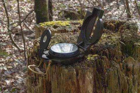 Compass in the forest on a stump in the sunlight Stock Photos