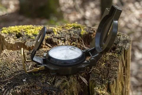 Compass in the forest on a stump in the sunlight Stock Photos