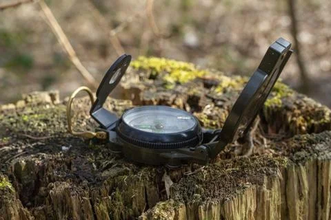 Compass in the forest on a stump in the sunlight Stock Photos