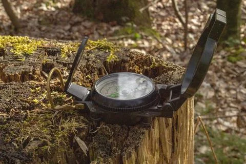 Compass in the forest on a stump in the sunlight Stock Photos