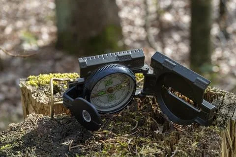Compass in the forest on a stump in the sunlight Stock Photos