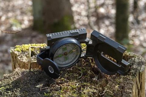 Compass in the forest on a stump in the sunlight Stock Photos