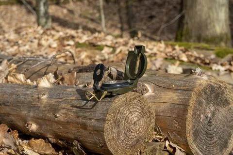 Compass in the forest on a stump in the sunlight Stock Photos