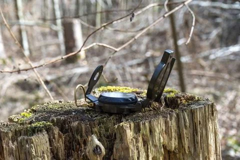 Compass in the forest on a stump in the sunlight Stock Photos