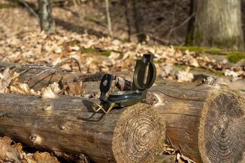 Compass in the forest on a stump in the sunlight Stock Photos