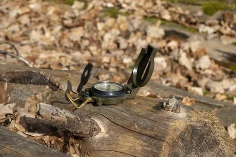 Compass in the forest on a stump in the sunlight Stock Photos