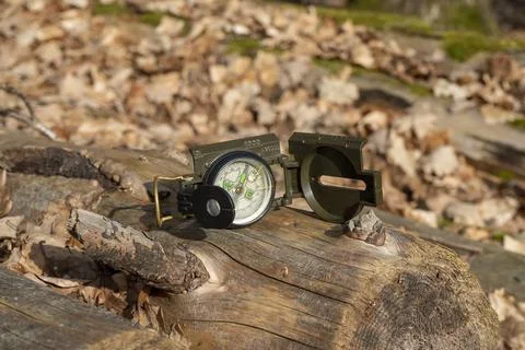 Compass in the forest on a stump in the sunlight Stock Photos