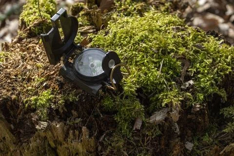 Compass in the forest on a stump in the sunlight Stock Photos