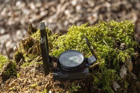 Compass in the forest on a stump in the sunlight Stock Photos