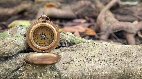 A compass in the forest as a symbol of direction Stock Photos