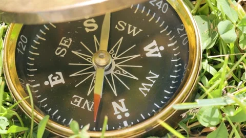 Compass on grass in closeup Stock Footage 141120061