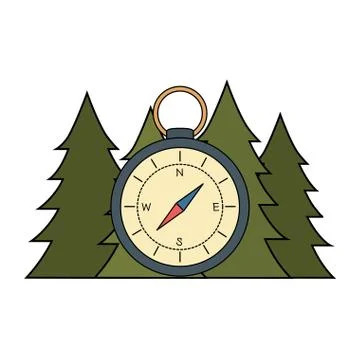 Compass guide with pines forest Stock Illustration