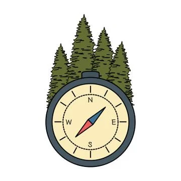Compass guide with pines forest Stock Illustration