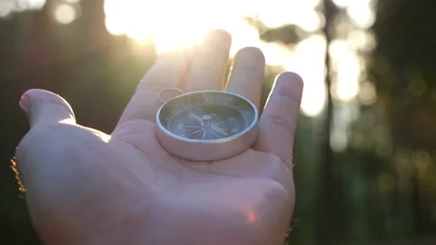 Compass in hand on natural pine forest background. Видео 227852897