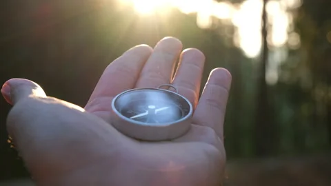 Compass in hand on natural pine forest background. Stock Footage 227853253