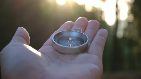Compass in hand on natural pine forest background. Vídeos de archivo 227853264