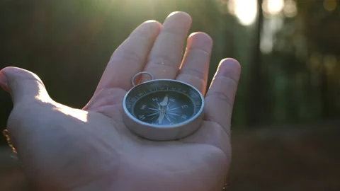 Compass in hand on natural pine forest background. 動画素材 227853397