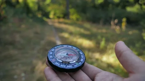 Compass in the hands of the forwarder of the forest background Stock Footage 138524175