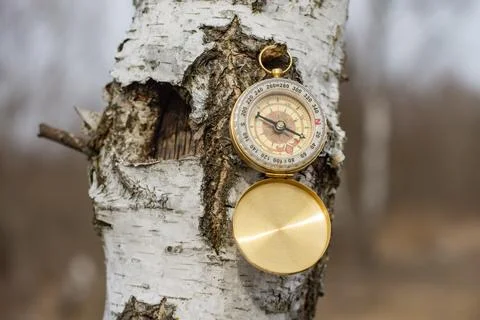 Compass hanging on birch tree. Navigation tool for outdoor adventure and tr.. Stock Photos