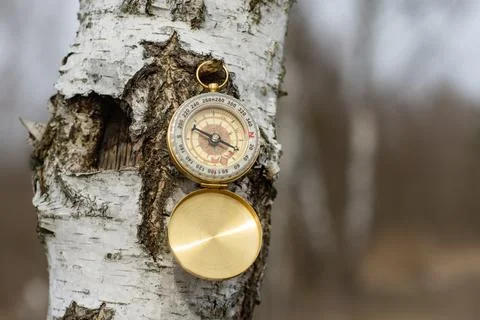 Compass hanging on birch tree. Navigation tool for outdoor adventure and tr.. Stock Photos