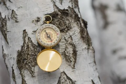 Compass hanging on birch tree. Navigation tool for outdoor adventure and tr.. Stock Photos