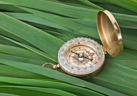 Compass on  leaves of cane Stock Photos