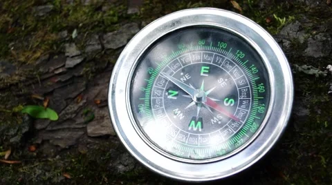 Compass lying on a tree, the arrow rotates abnormally. Video stock 50159570