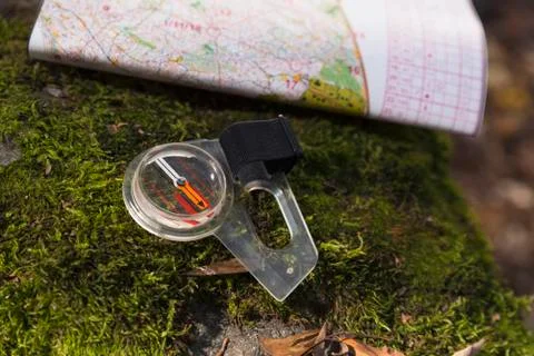 Compass Map Moss Orienteering Forest Stock Photos