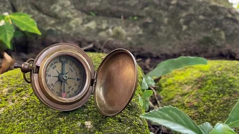 A compass on a mossy stone in a tropical forest. Stock Photos