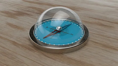 The compass needle rotates to indicate the correct direction. Carriage trip. Stock Footage 115245561