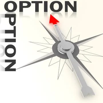 Compass with option word isolated Illustrazione stock