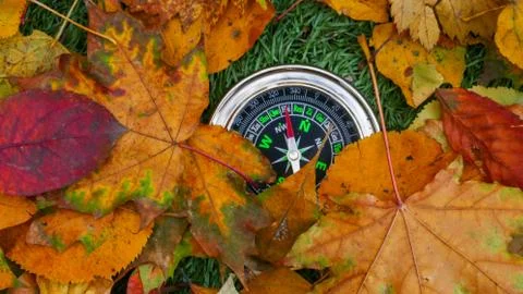 Compass With The Tag North Stock Photos