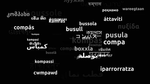 Compass Translated in 58 Worldwide Languages Endless Looping 3d Zooming Wordc Stock Footage 145214853