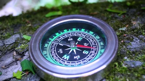 The compass on the tree, the arrow rotates abnormally. Stock Footage 50159575