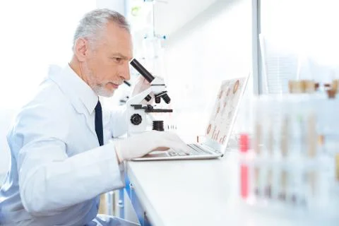 Competent practitioner using his laptop Foto stock
