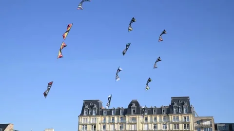 Competition between schools of the air kites Stock Footage 259410521