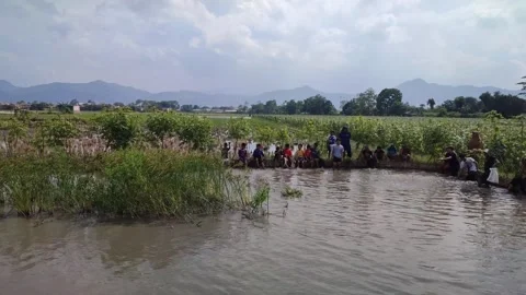 Competition to catch fish in the pond Stock Footage 302041847