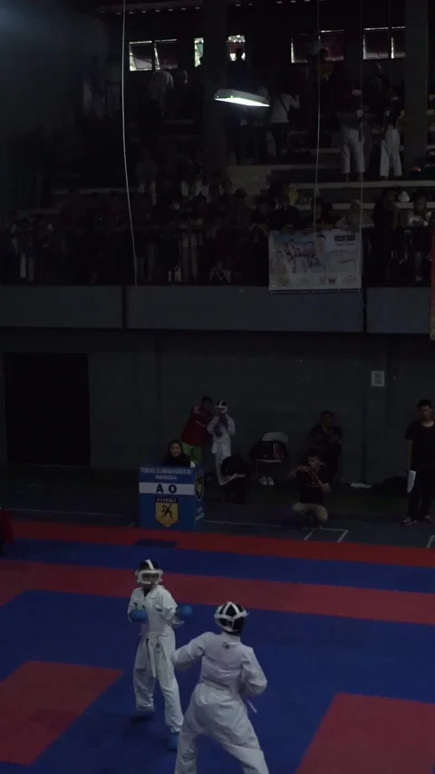 Competition of karate Stock Footage 254455419