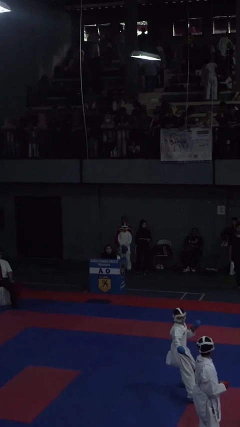 Competition of karate Stock Footage 254455420