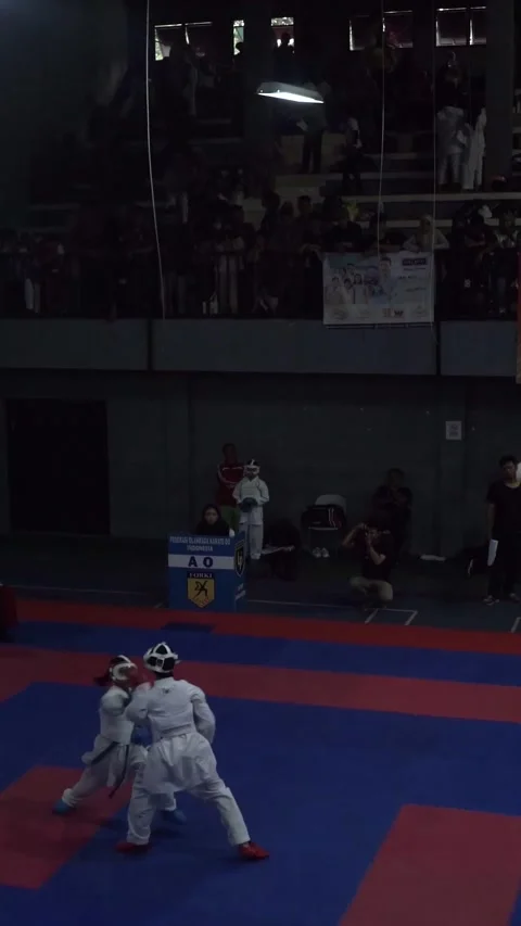 Competition of karate Stock Footage 254455430